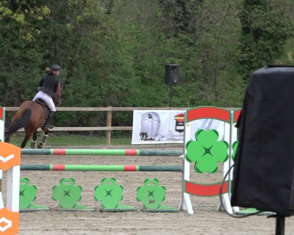 Reitturnier Hildesheim-Steuerwald 2022