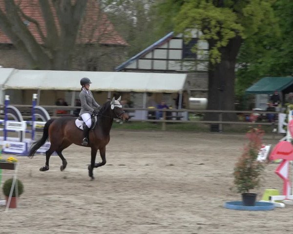 Reitturnier Hildesheim-Steuerwald 2022
