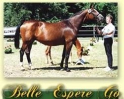 broodmare Belle Espere (Trakehner, 1986, from Rittersporn)