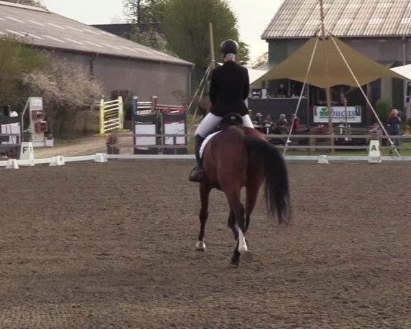 Reitturnier Kleinsolt 2022