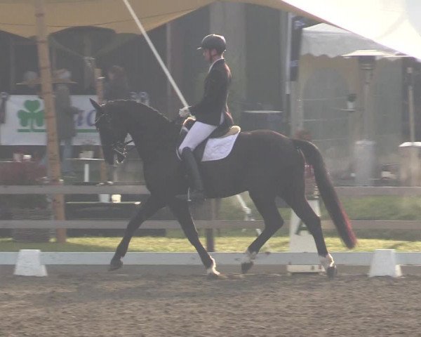 Reitturnier Kleinsolt 2022
