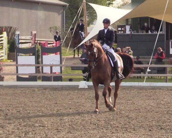 Reitturnier Kleinsolt 2022