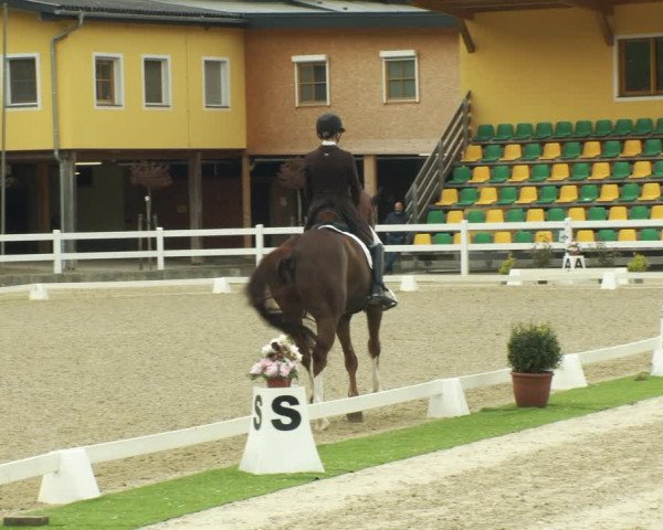 FEI Reitturnier St. Margarethen (AUT) 2022
