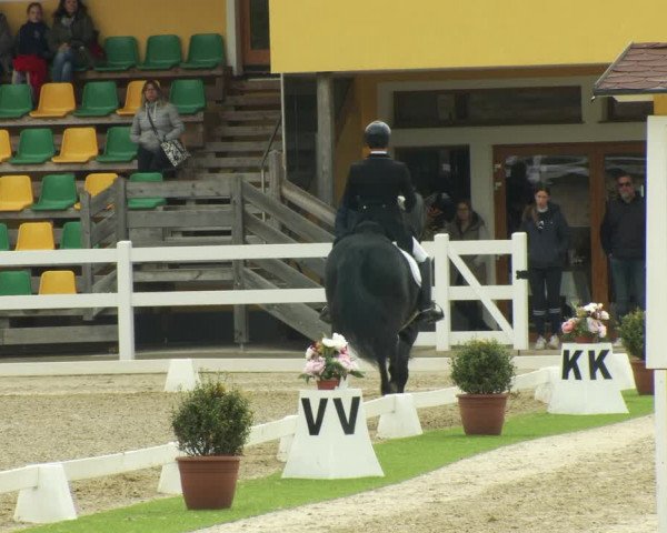 FEI Reitturnier St. Margarethen (AUT) 2022
