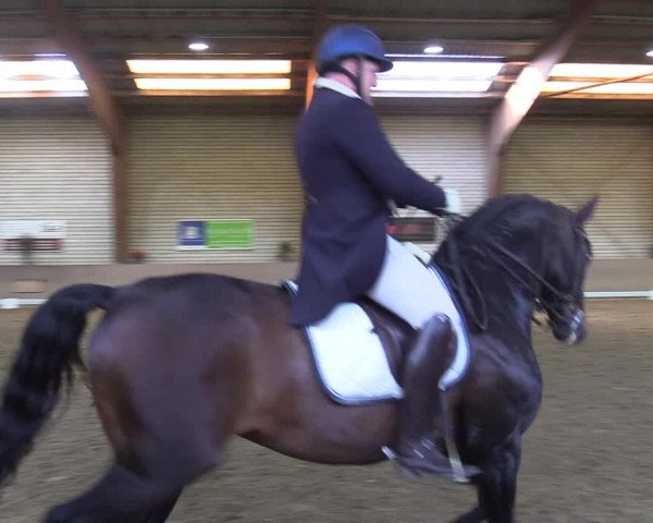 Reitturnier Kamen 2022