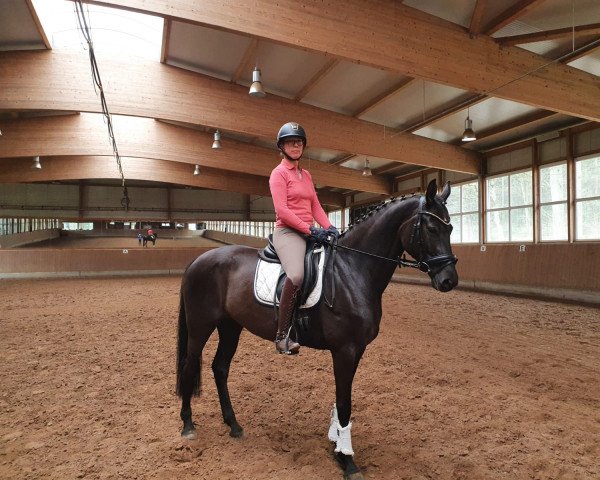 broodmare Milou (Oldenburg, 2016, from E.H. Millennium)