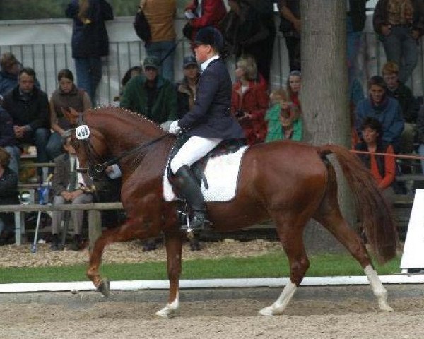 dressage horse Grandy-Man (German Riding Pony, 1998, from Going East)