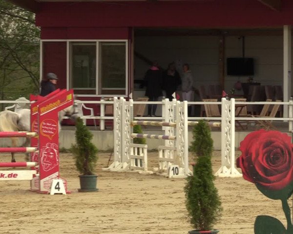 Reitturnier Spenge - Wallenbrück 2022