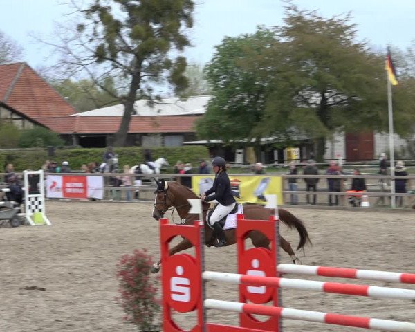 Reitturnier Hildesheim-Steuerwald 2022