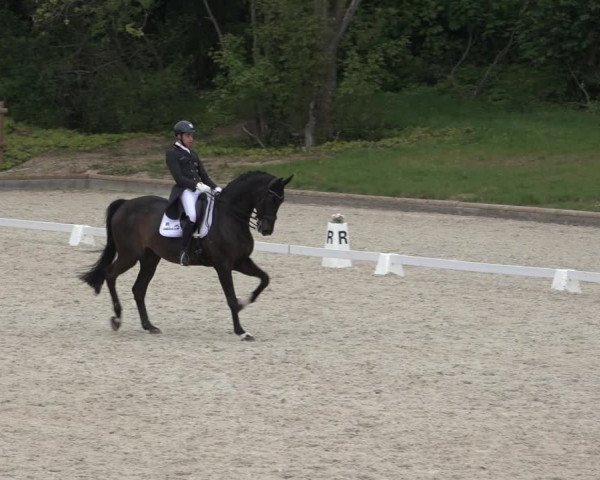 FEI Reitturnier Troisdorf (GER) 2022