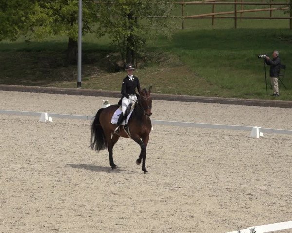 FEI Reitturnier Troisdorf (GER) 2022