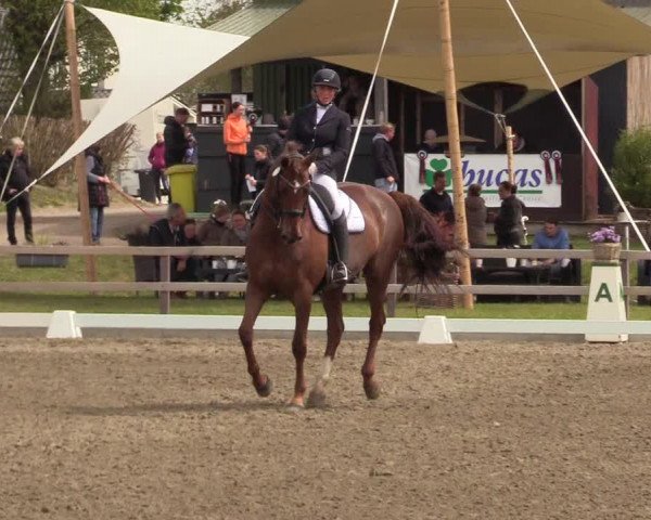 Reitturnier Kleinsolt 2022