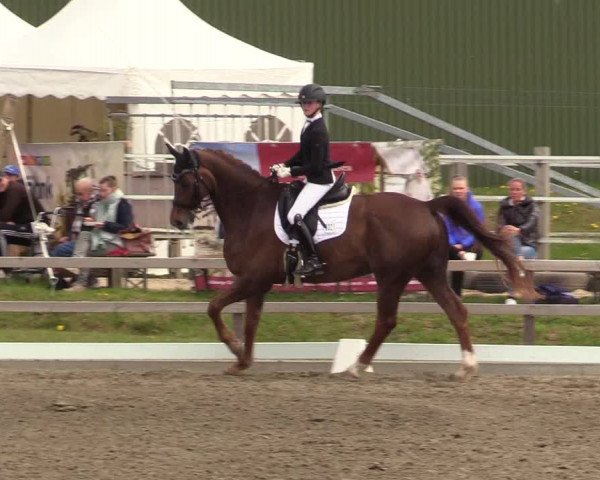 Reitturnier Kleinsolt 2022