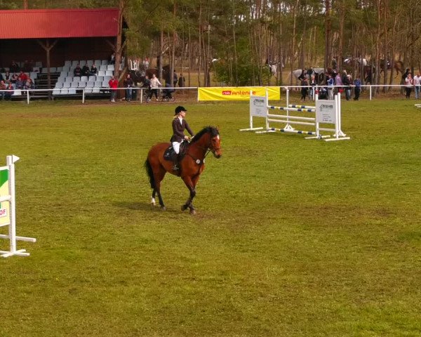 Reitturnier Altbarnim 2022