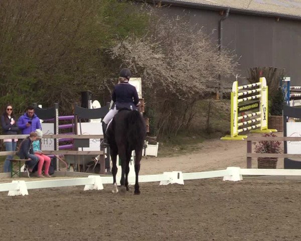 Reitturnier Kleinsolt 2022