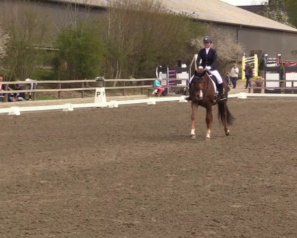 Reitturnier Kleinsolt 2022
