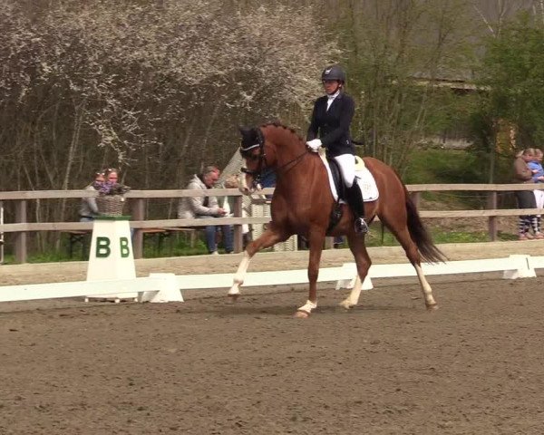 Reitturnier Kleinsolt 2022