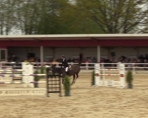 Reitturnier Spenge - Wallenbrück 2022