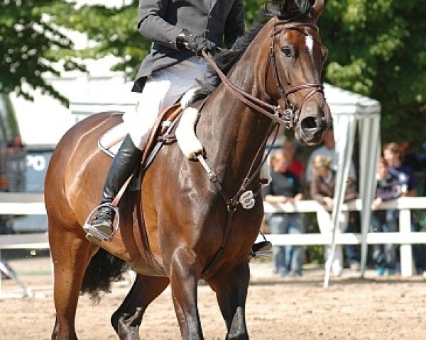broodmare M-Cariette (Holsteiner, 1997, from Caretino)