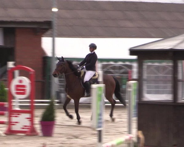 Reitturnier Havixbeck 2022