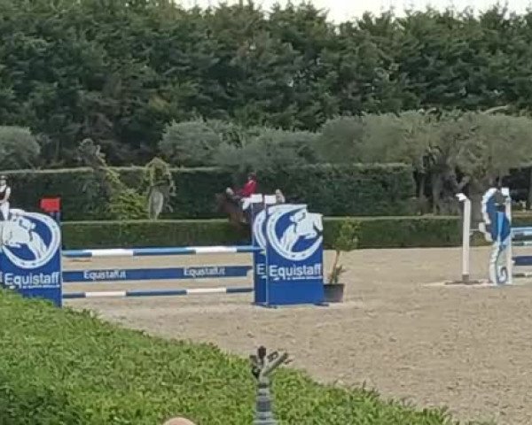 Video of Anatoli 6
