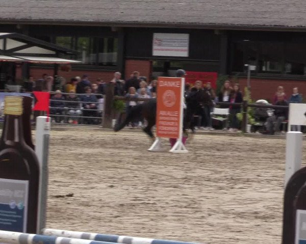 Reitturnier Havixbeck 2022