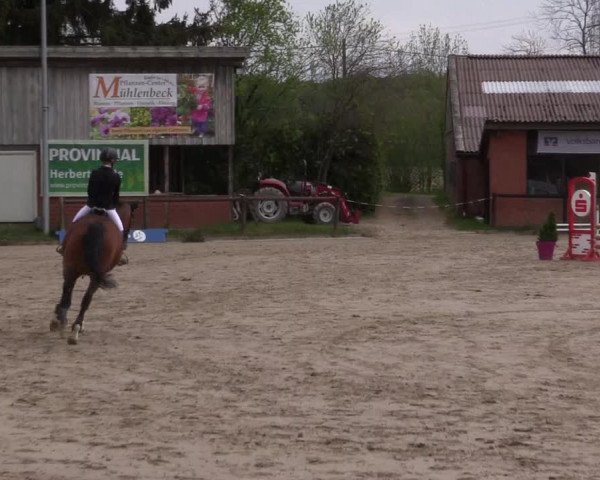 Reitturnier Havixbeck 2022