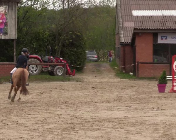 Reitturnier Havixbeck 2022
