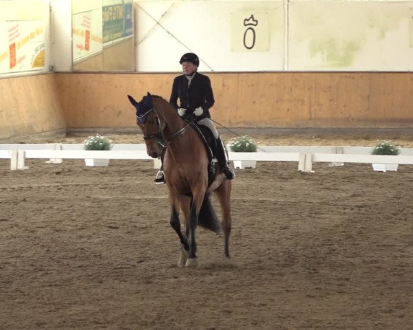 Reitturnier Hildesheim-Steuerwald 2022