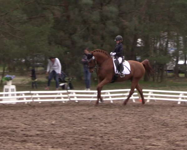 Reitturnier Altbarnim 2022