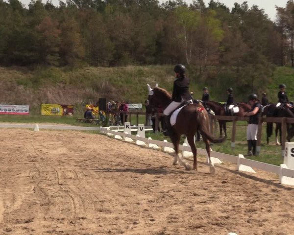 Reitturnier Colbitz 2022
