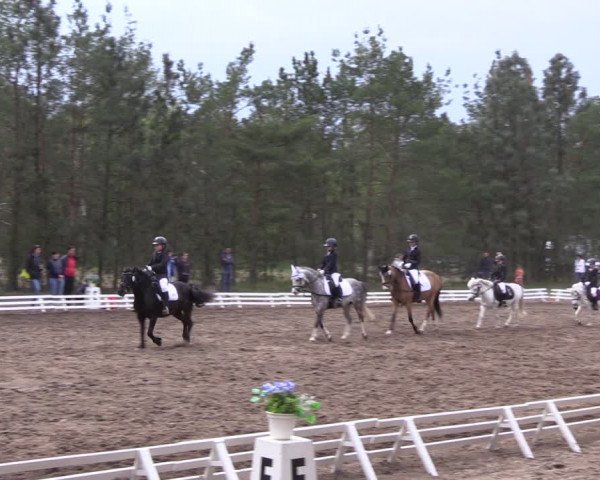 Reitturnier Altbarnim 2022