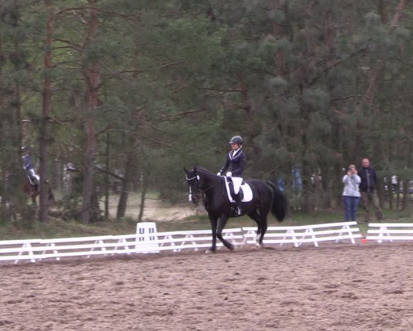 Reitturnier Altbarnim 2022