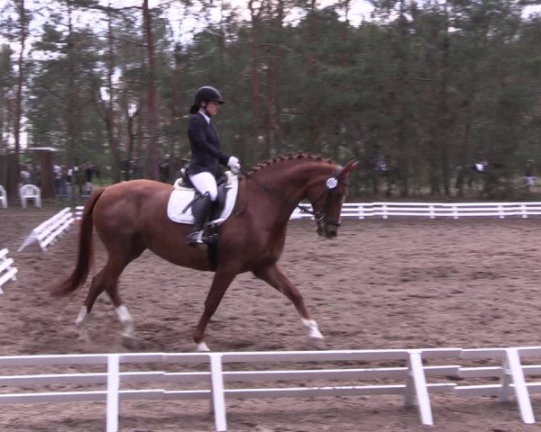Reitturnier Altbarnim 2022