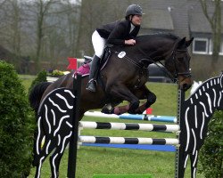 broodmare Wavanta (KWPN (Royal Dutch Sporthorse), 2003, from Concorde)