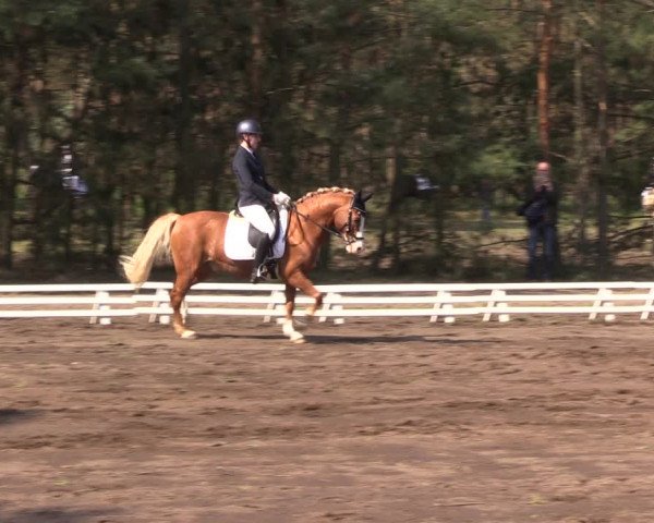 Reitturnier Altbarnim 2022