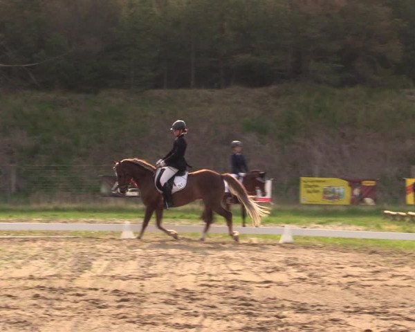Reitturnier Colbitz 2022