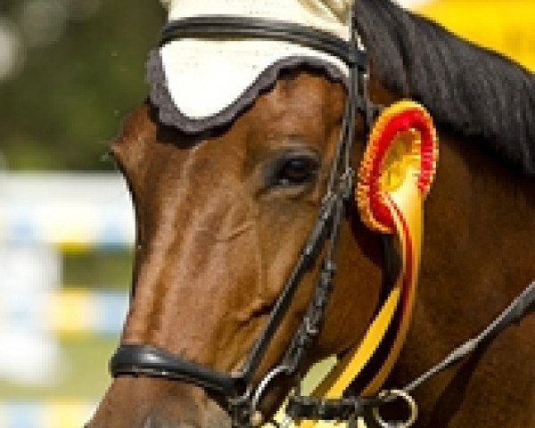 broodmare Electra 43 (Bavarian, 2000, from Rautenstein)