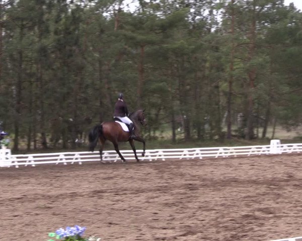 Reitturnier Altbarnim 2022