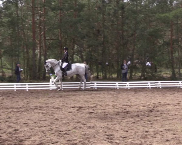 Reitturnier Altbarnim 2022