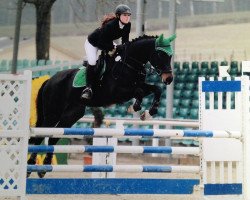 jumper Tennessee 62 (KWPN (Royal Dutch Sporthorse), 2006, from Tenerife)