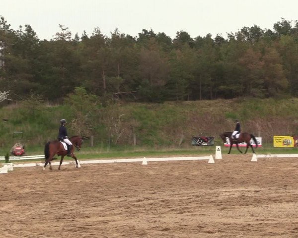 Reitturnier Colbitz 2022