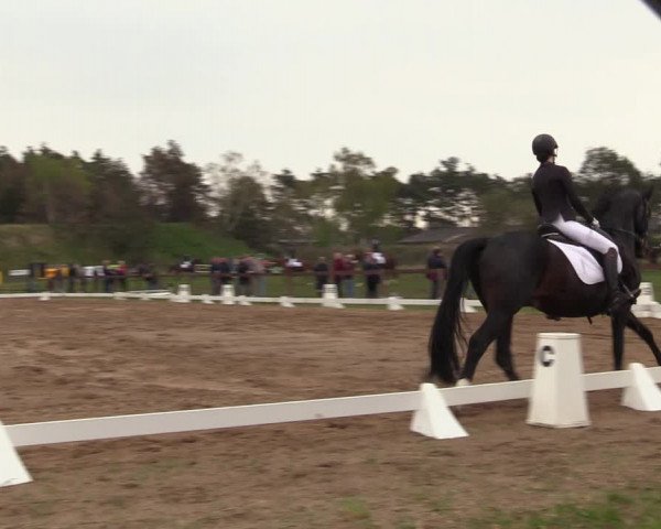 Reitturnier Colbitz 2022