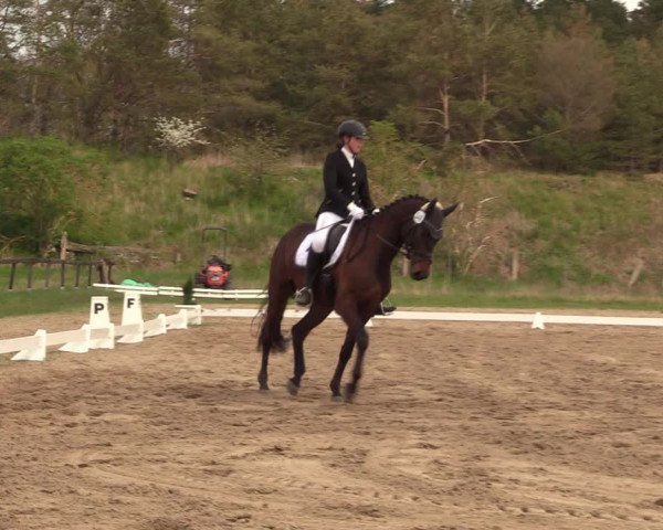 Reitturnier Colbitz 2022