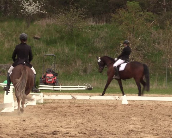 Reitturnier Colbitz 2022