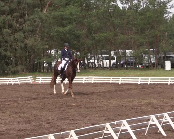 Reitturnier Altbarnim 2022