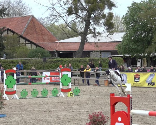 Reitturnier Hildesheim-Steuerwald 2022
