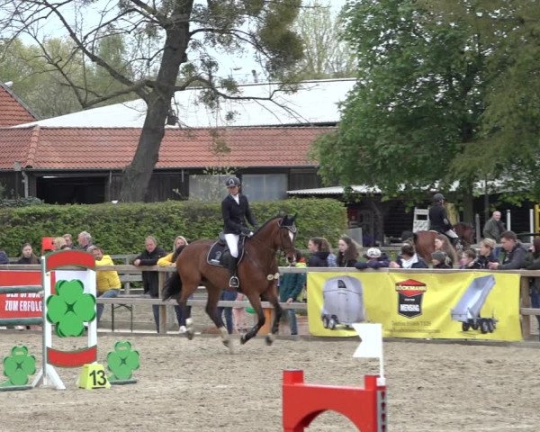 Reitturnier Hildesheim-Steuerwald 2022