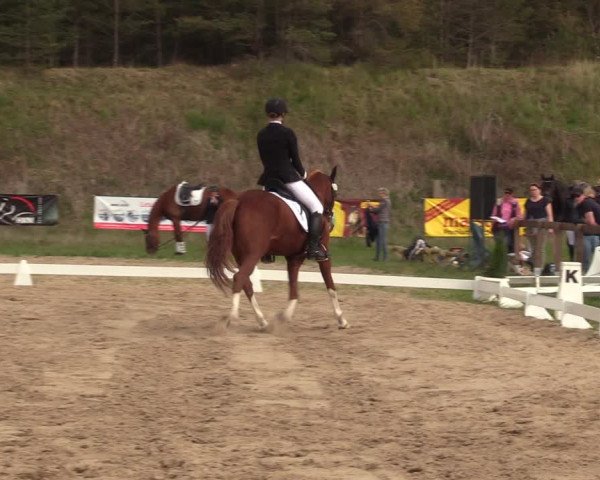Reitturnier Colbitz 2022
