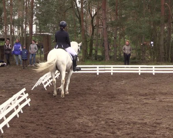 Reitturnier Altbarnim 2022